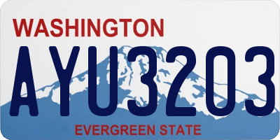 WA license plate AYU3203
