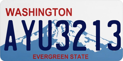 WA license plate AYU3213