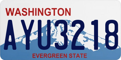 WA license plate AYU3218