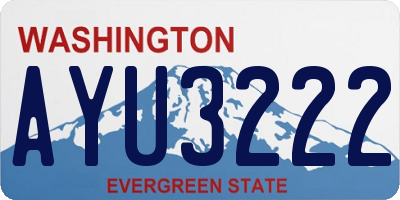 WA license plate AYU3222