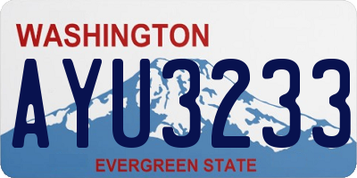 WA license plate AYU3233