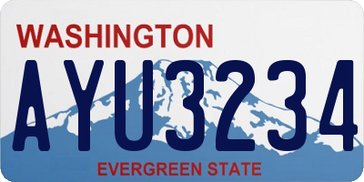 WA license plate AYU3234