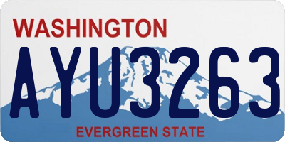 WA license plate AYU3263