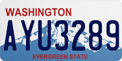 WA license plate AYU3289