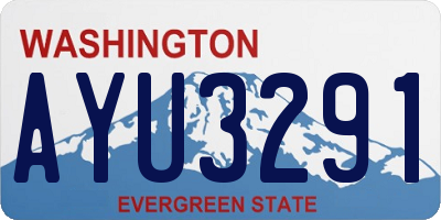 WA license plate AYU3291