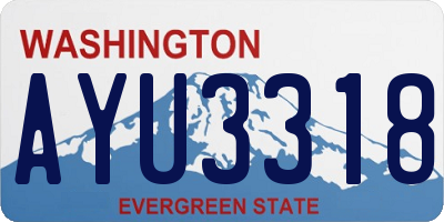 WA license plate AYU3318