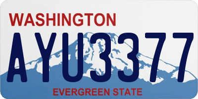WA license plate AYU3377