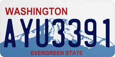 WA license plate AYU3391