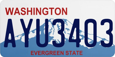 WA license plate AYU3403