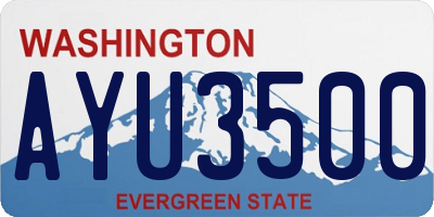WA license plate AYU3500