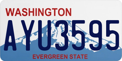 WA license plate AYU3595