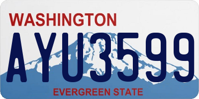 WA license plate AYU3599