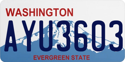 WA license plate AYU3603