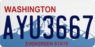 WA license plate AYU3667