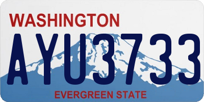 WA license plate AYU3733