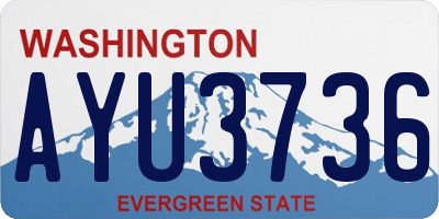 WA license plate AYU3736