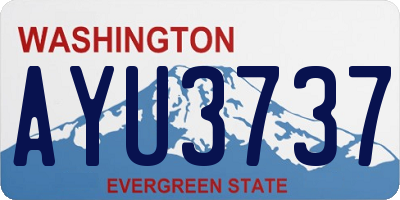 WA license plate AYU3737