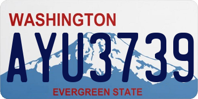 WA license plate AYU3739