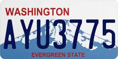 WA license plate AYU3775