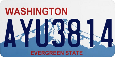 WA license plate AYU3814