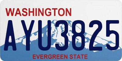 WA license plate AYU3825
