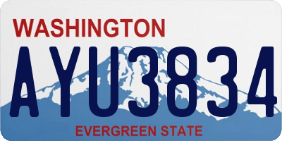 WA license plate AYU3834