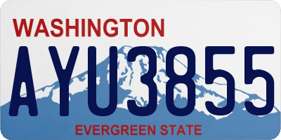 WA license plate AYU3855