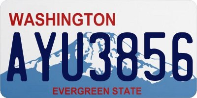 WA license plate AYU3856
