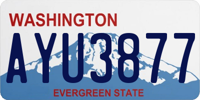 WA license plate AYU3877