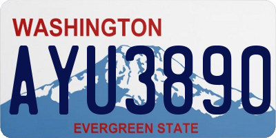WA license plate AYU3890