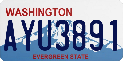 WA license plate AYU3891