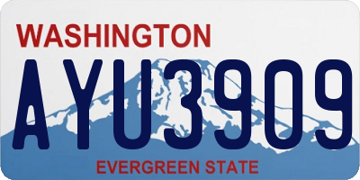 WA license plate AYU3909