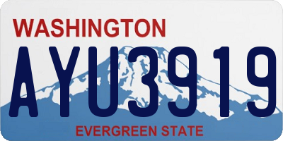 WA license plate AYU3919