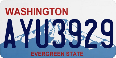 WA license plate AYU3929