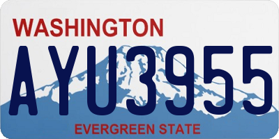 WA license plate AYU3955
