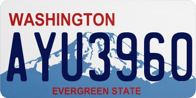 WA license plate AYU3960