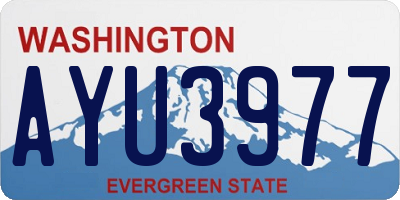 WA license plate AYU3977