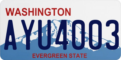 WA license plate AYU4003