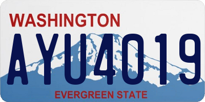 WA license plate AYU4019