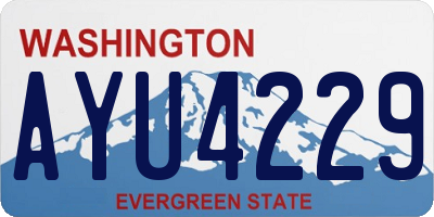WA license plate AYU4229