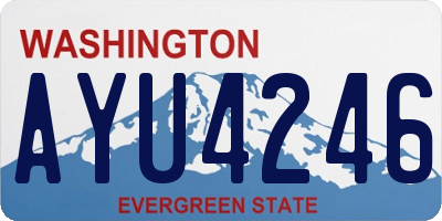 WA license plate AYU4246