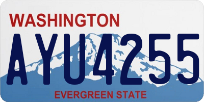 WA license plate AYU4255