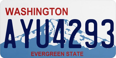 WA license plate AYU4293
