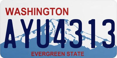 WA license plate AYU4313