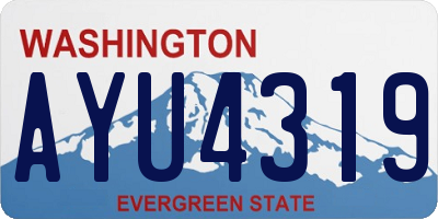 WA license plate AYU4319