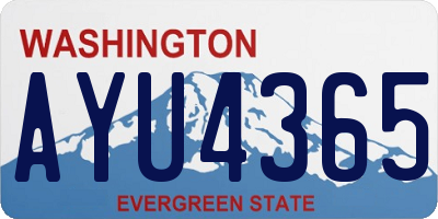 WA license plate AYU4365