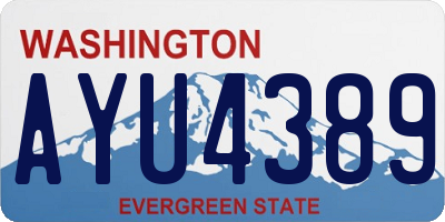 WA license plate AYU4389