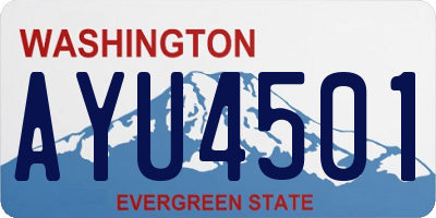 WA license plate AYU4501