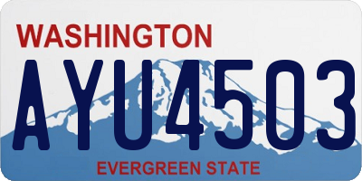 WA license plate AYU4503