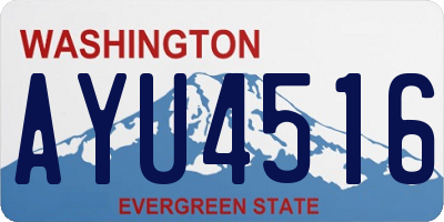 WA license plate AYU4516
